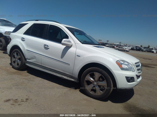 Mercedes-benz M-class (2010)