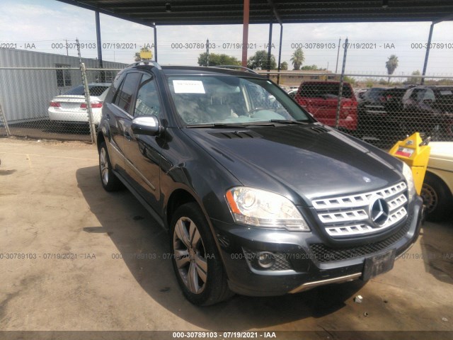 Mercedes-benz M-class (2010)