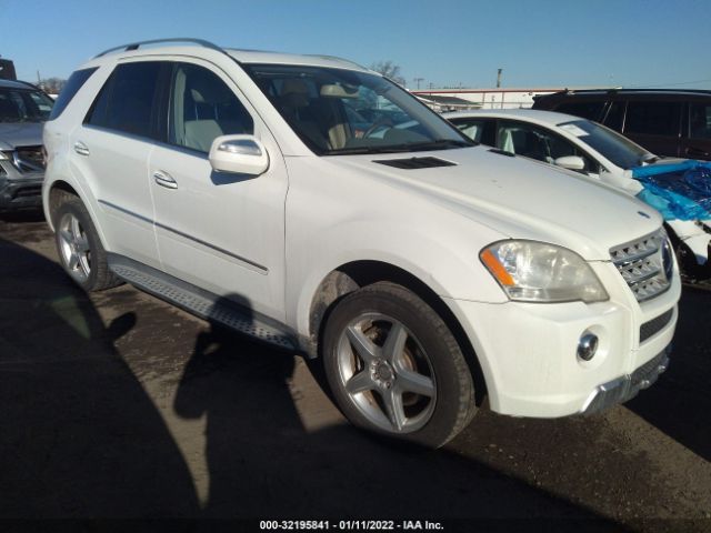 Mercedes-benz M-class (2010)