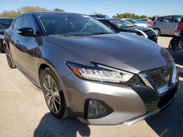 Nissan Maxima sv (2021)