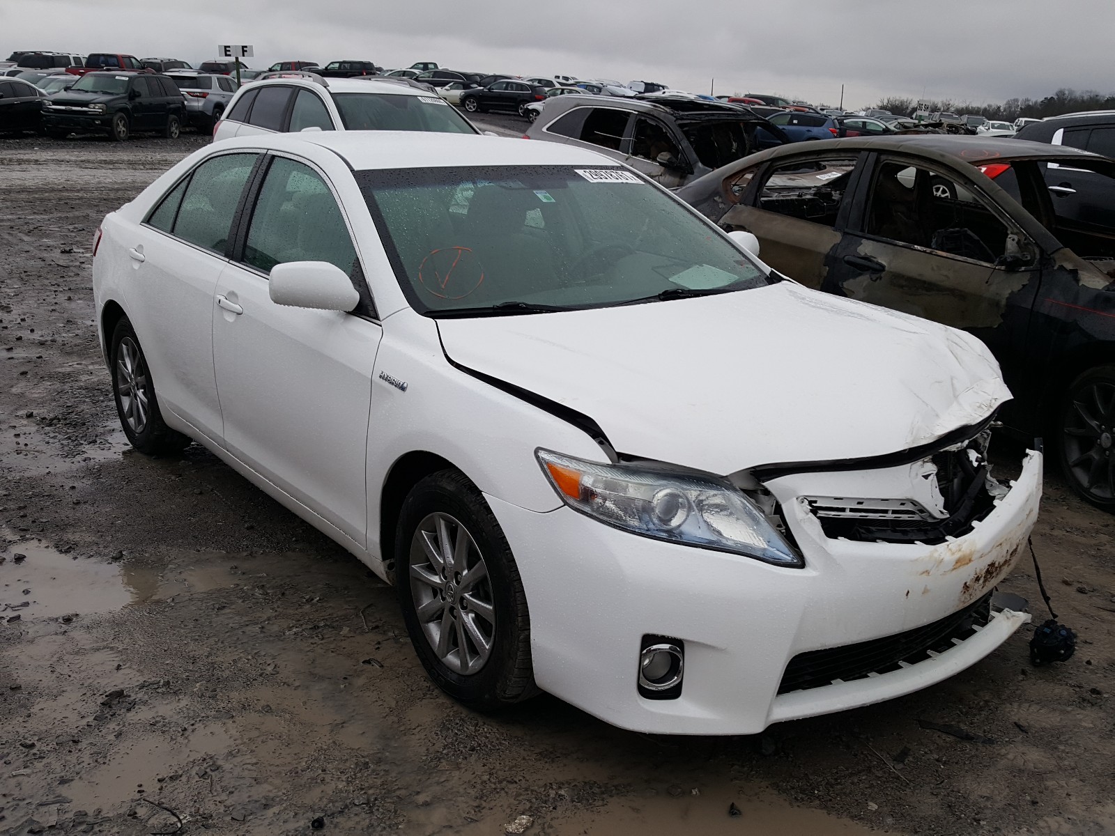 Toyota Camry hybr (2011)