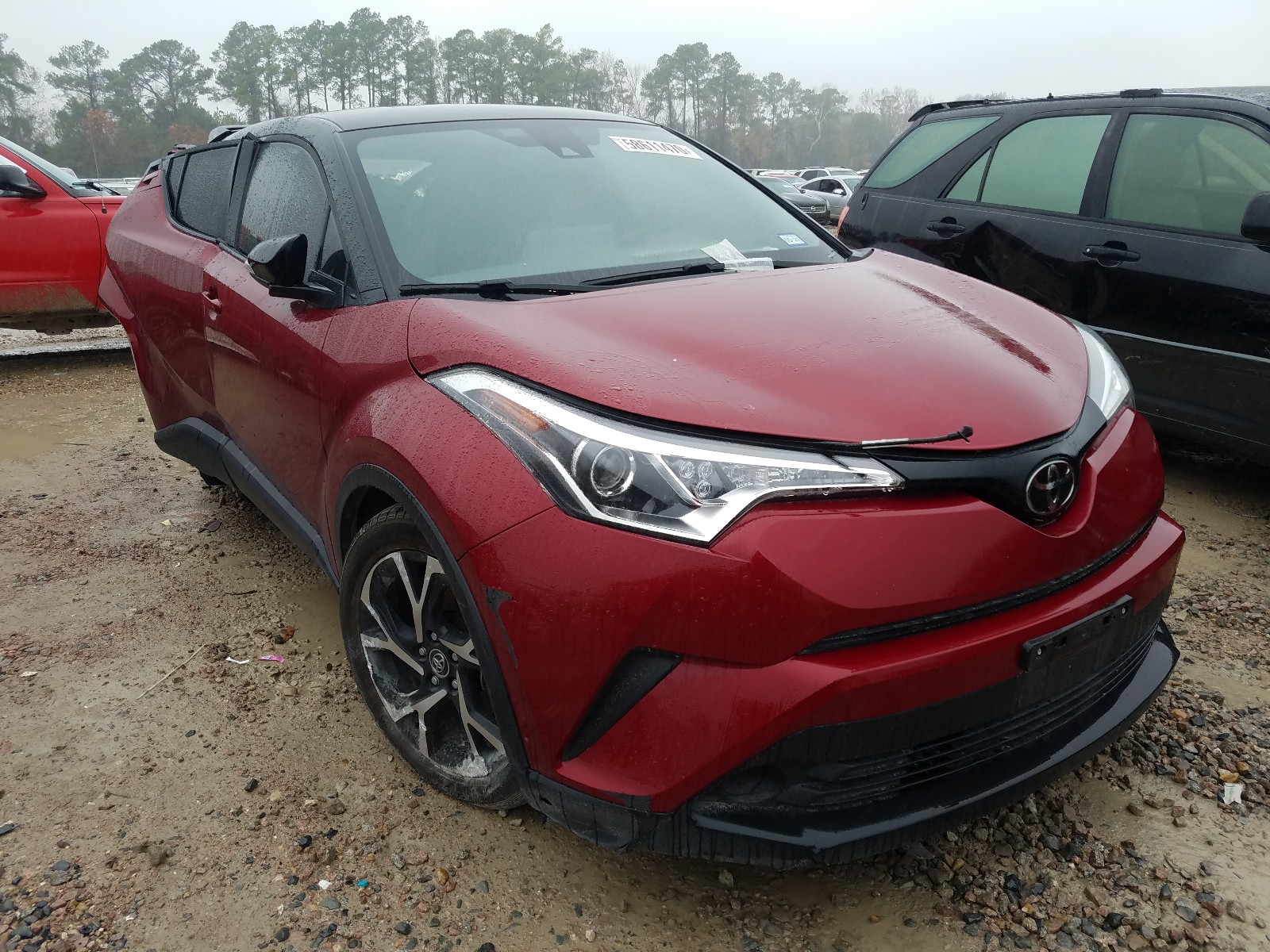 Toyota C-hr xle (2019)