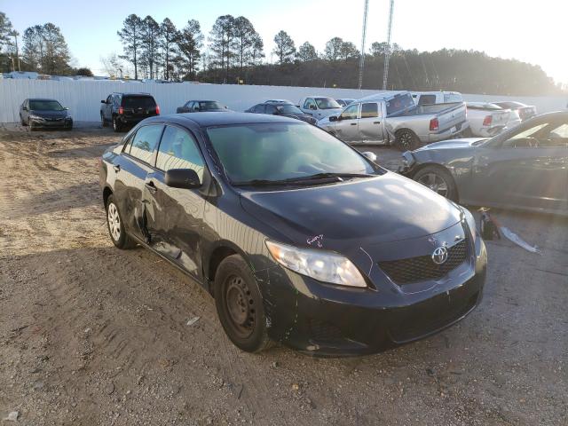 Toyota Corolla ba (2010)