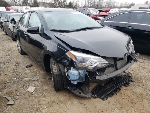 Toyota Corolla l (2016)