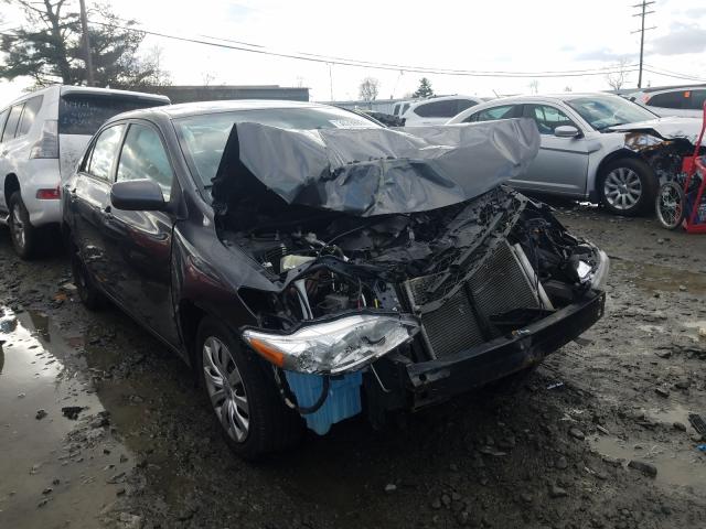 Toyota Corolla ba (2012)