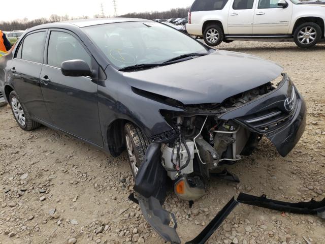 Toyota Corolla ba (2013)