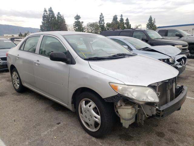 Toyota Corolla ba (2010)