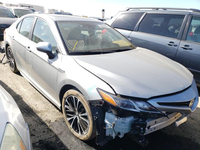 Toyota Camry hybr (2019)
