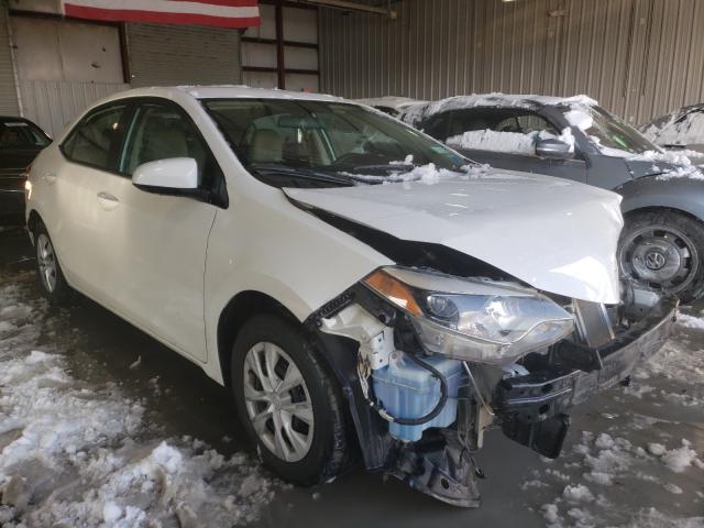 Toyota Corolla ec (2014)
