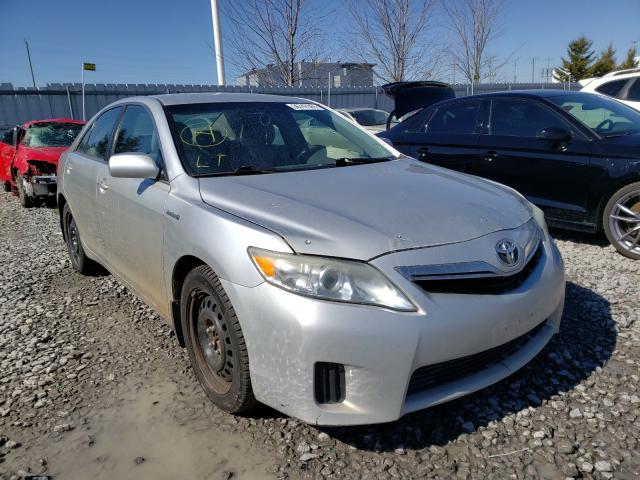 Toyota Camry hybr (2010)