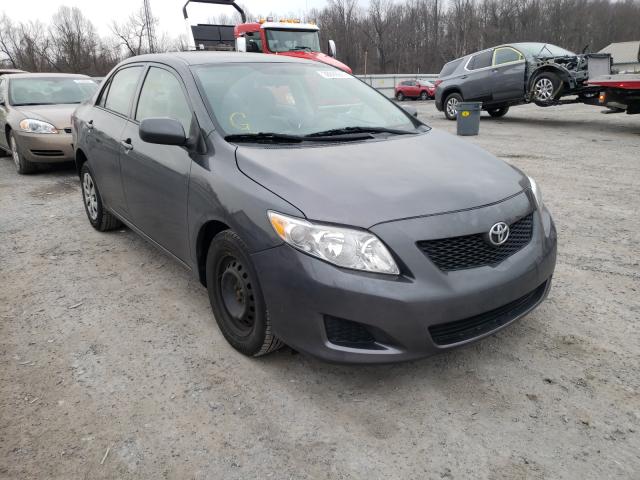 Toyota Corolla ba (2010)