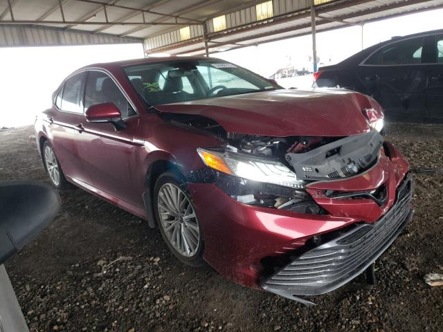 Toyota Camry hybr (2019)