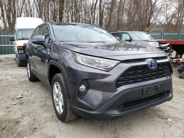 Toyota Rav4 xle (2019)