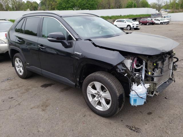 Toyota Rav4 xle (2019)