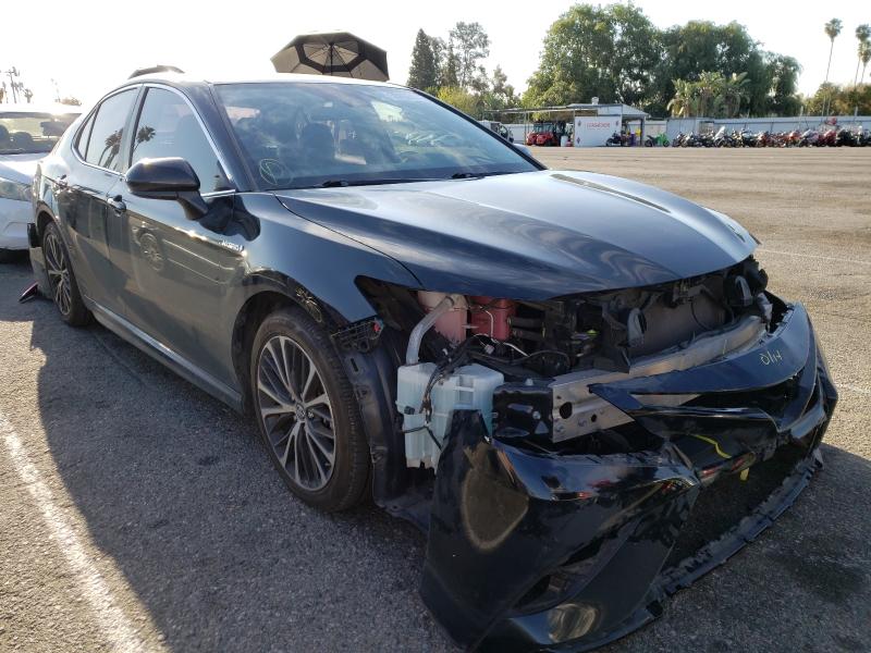 Toyota Camry hybr (2019)