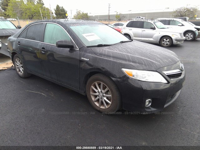 Toyota Camry hybrid (2010)