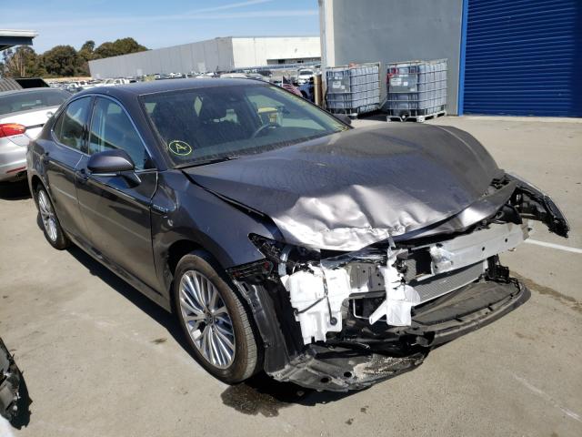 Toyota Camry hybr (2019)