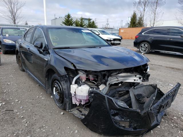 Toyota Camry hybr (2019)