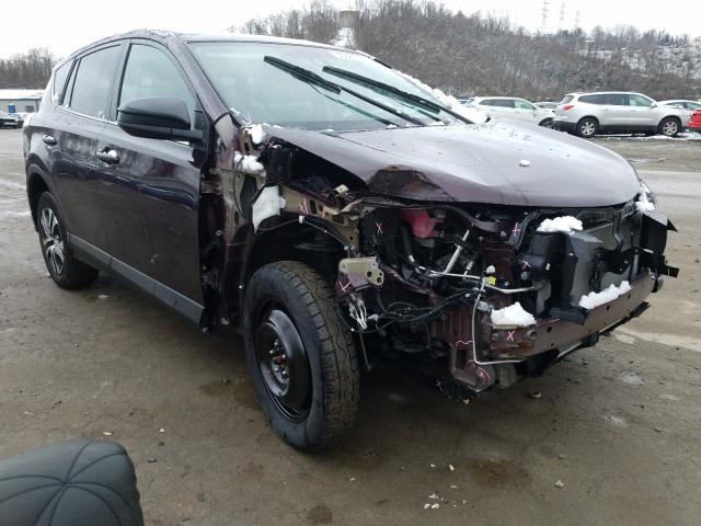 Toyota Rav4 le (2018)