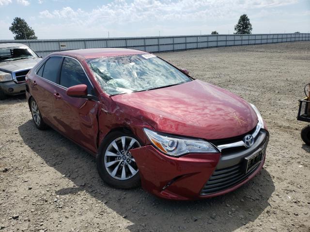 Toyota Camry hybr (2016)
