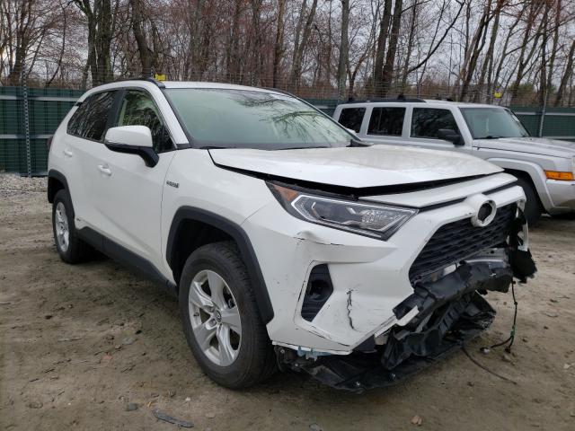 Toyota Rav4 xle (2019)