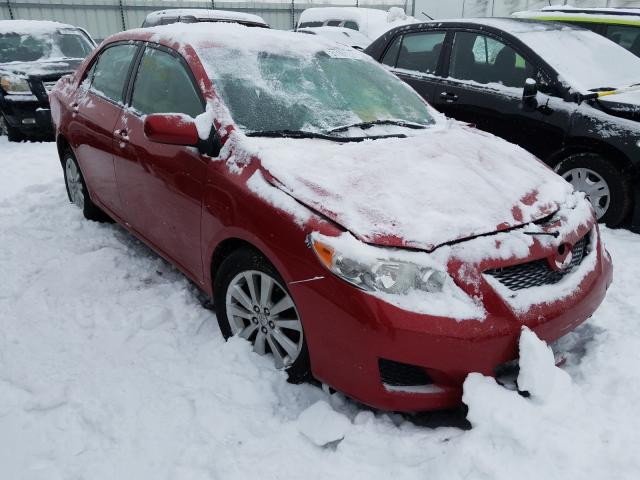 Toyota Corolla ba (2010)