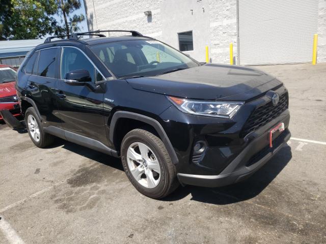 Toyota Rav4 xle (2020)