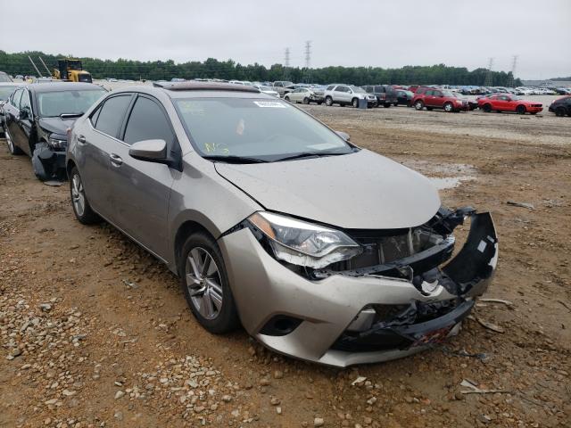 Toyota Corolla ec (2014)