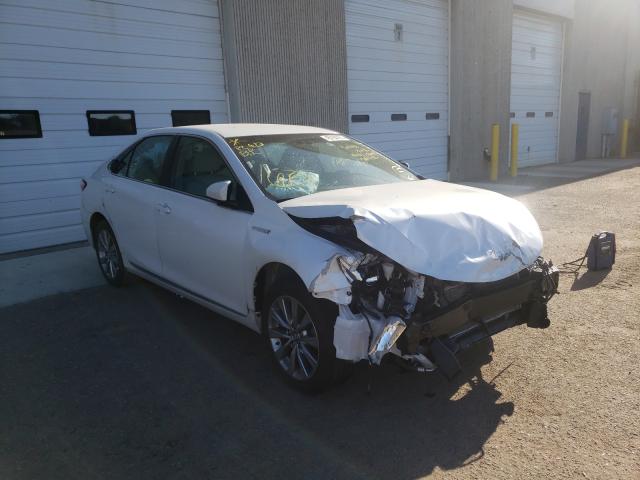Toyota Camry hybr (2017)