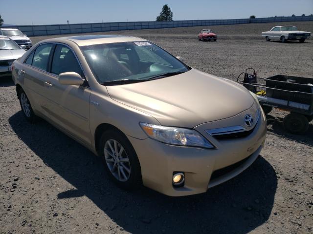 Toyota Camry hybr (2010)