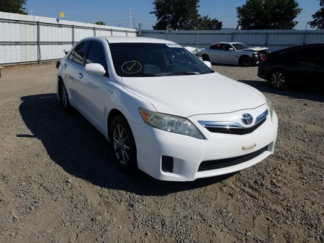 Toyota Camry hybr (2010)