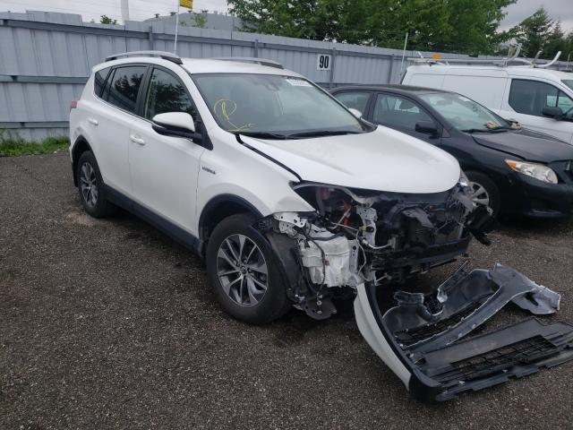 Toyota Rav4 hv le (2017)