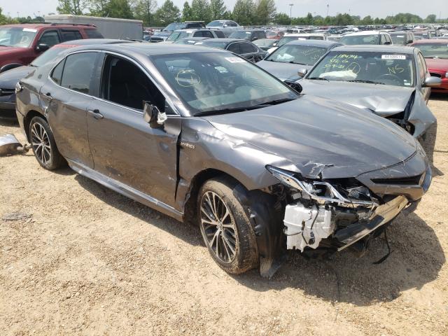 Toyota Camry hybr (2019)