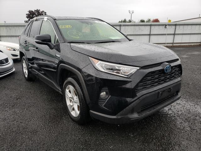 Toyota Rav4 xle (2019)