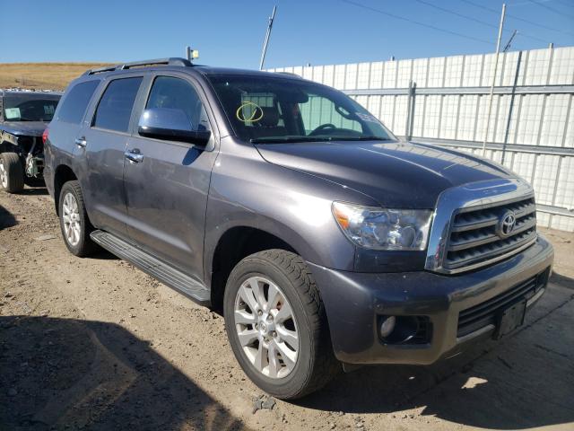 Toyota Sequoia pl (2015)