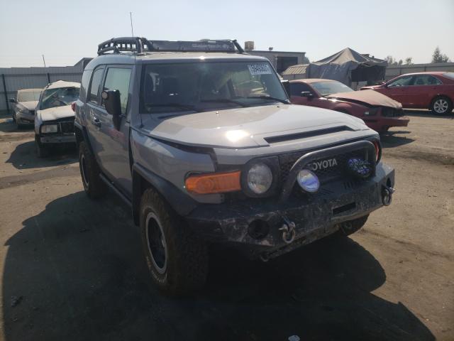 Toyota Fj cruiser (2013)