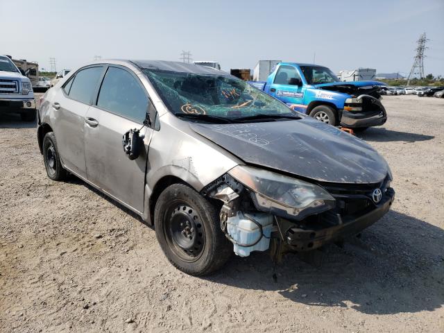 Toyota Corolla ec (2015)