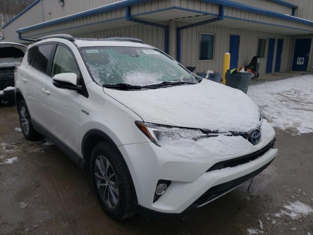 Toyota Rav4 hv le (2017)
