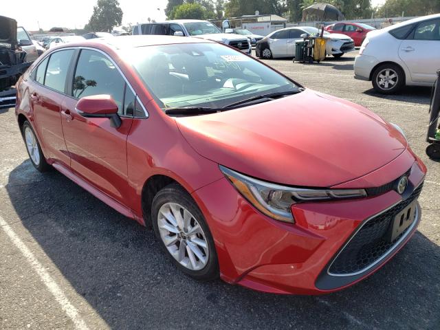 Toyota Corolla xl (2020)