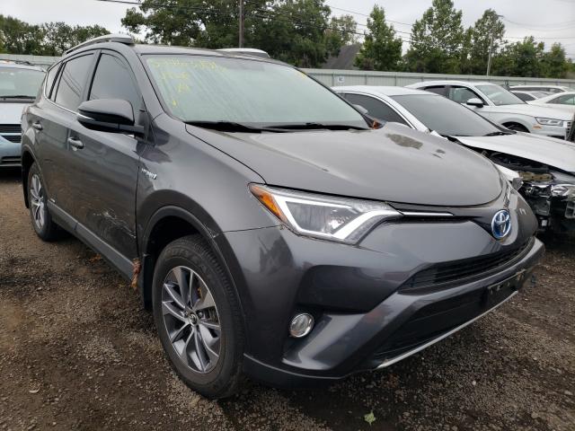 Toyota Rav4 hv xl (2016)