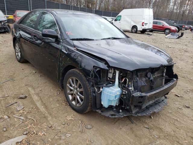 Toyota Camry hybr (2010)
