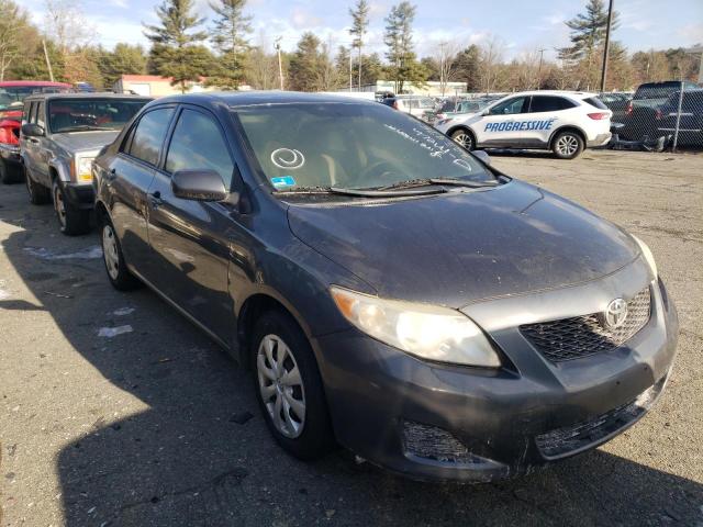 Toyota Corolla ba (2010)