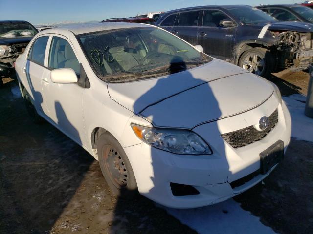 Toyota Corolla ba (2010)