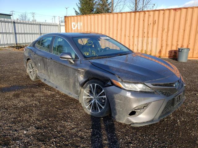 Toyota Camry hybr (2019)