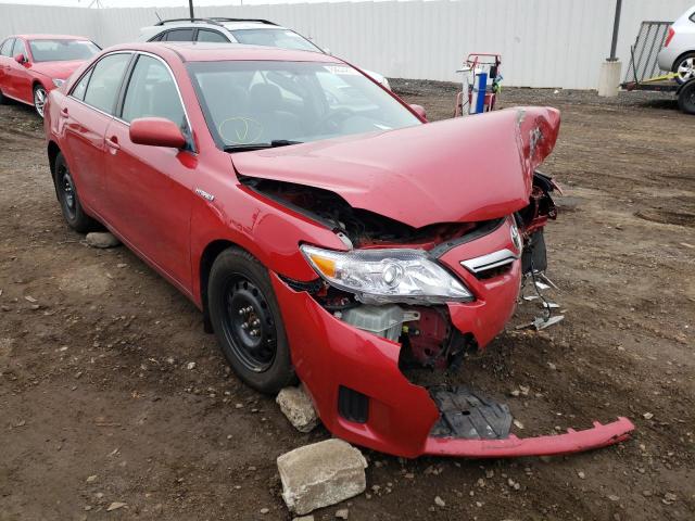 Toyota Camry hybr (2010)