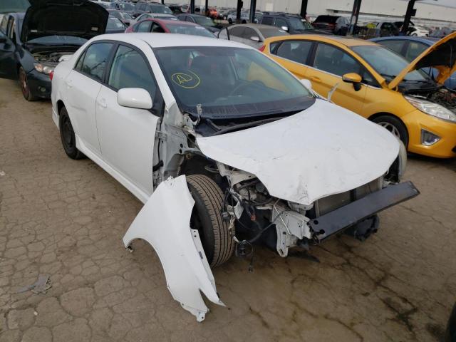 Toyota Corolla ba (2011)