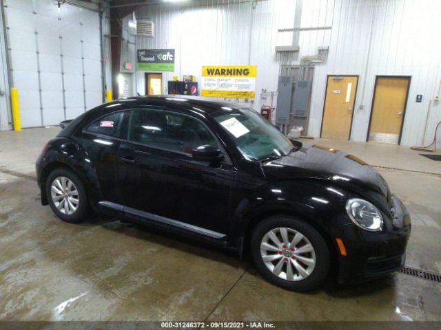 Volkswagen Beetle coupe (2013)