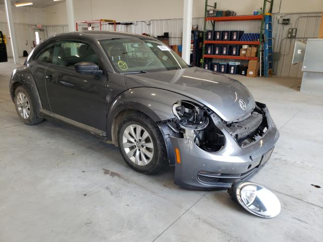 Volkswagen Beetle (2014)