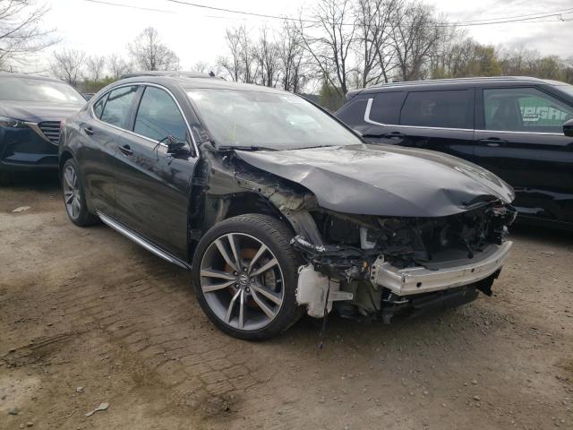 Acura Tlx advanc (2019)