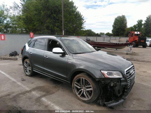 Audi Sq5 (2016)